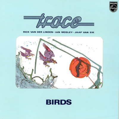 Trace-Birds-460905